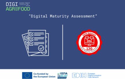 Digital Maturity assessment