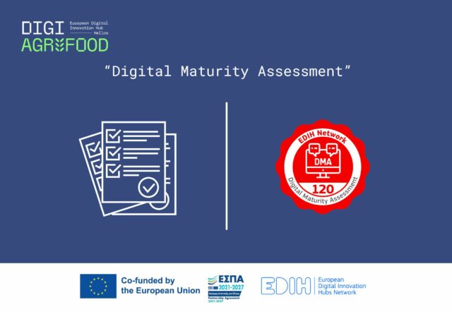 Digital Maturity assessment