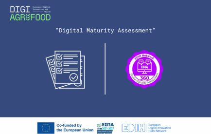 Digital Maturity assessment 60 (1953 x 1349 px)