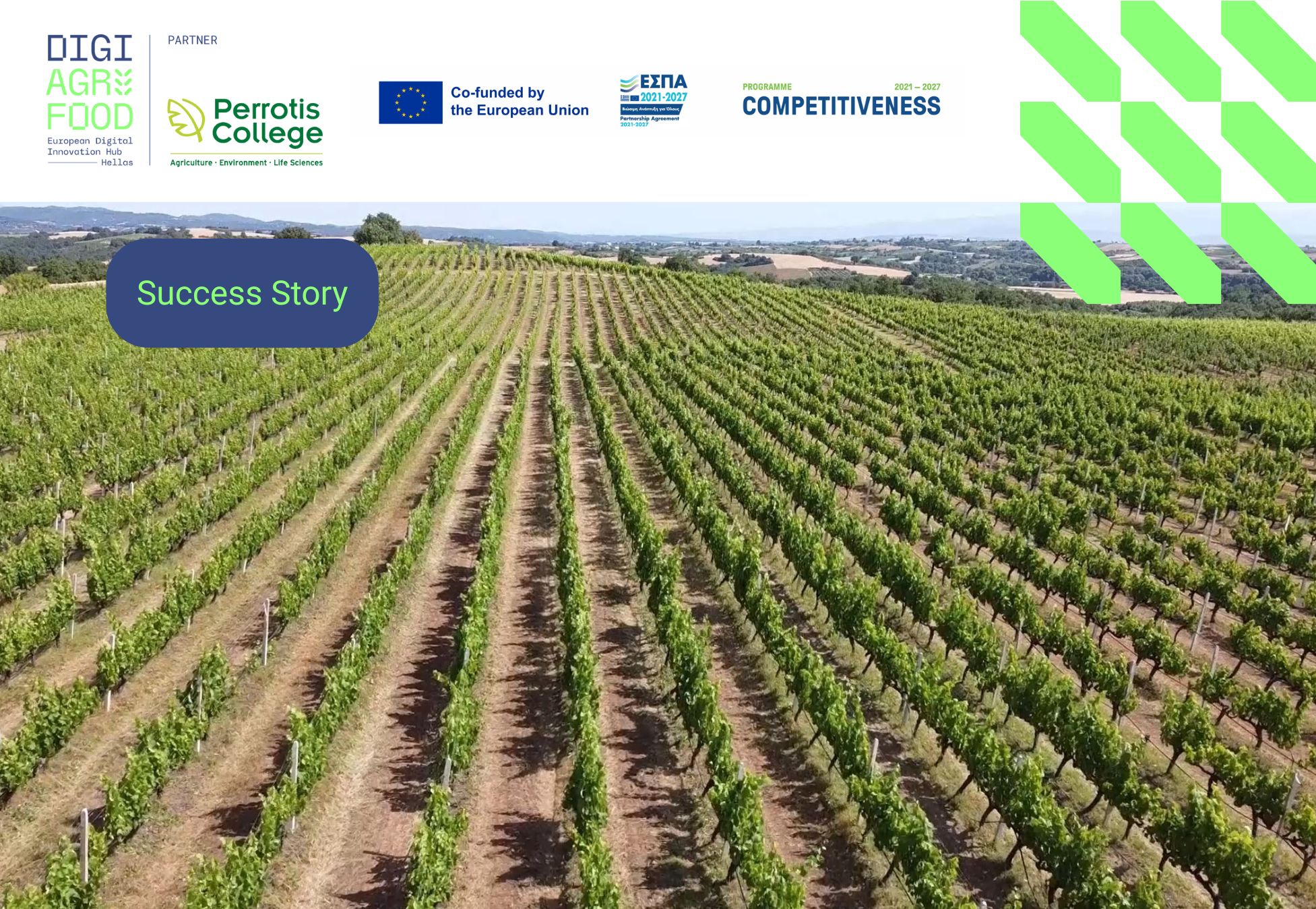 digiagrifood-success-story-agrotikos-synetairismos-eyfori-gi-ampelones-goumenissas
