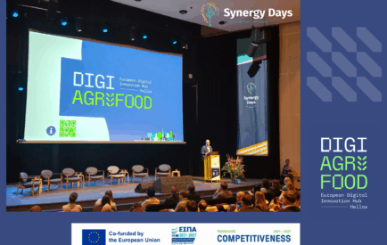 SynergyDays 2025