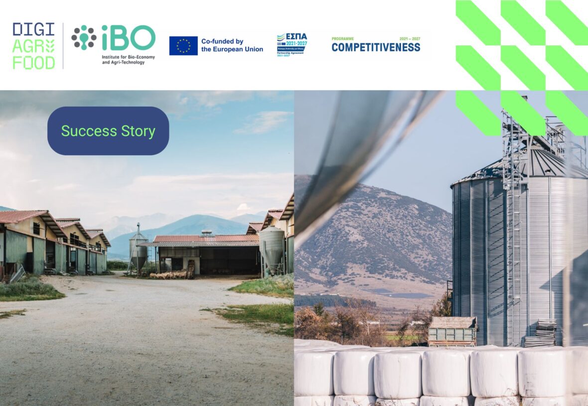 success story Menoikio iBO