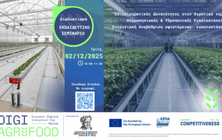 online workshop_greenhouse