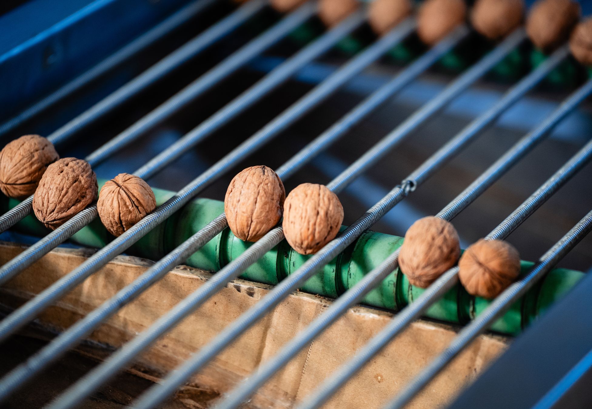 Nuts Hellas ena Success Story