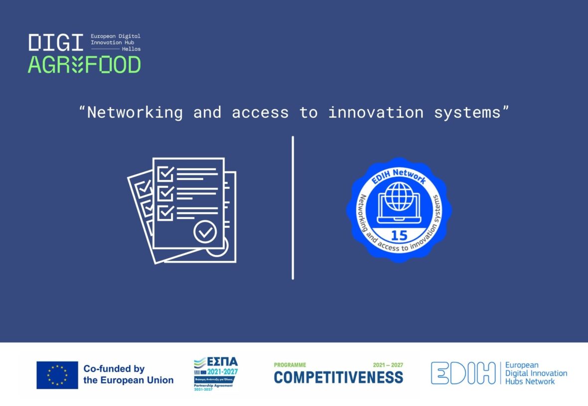 Networking and access to innovation systems