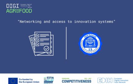 Networking and access to innovation systems