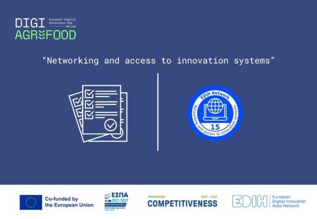 Networking and access to innovation systems